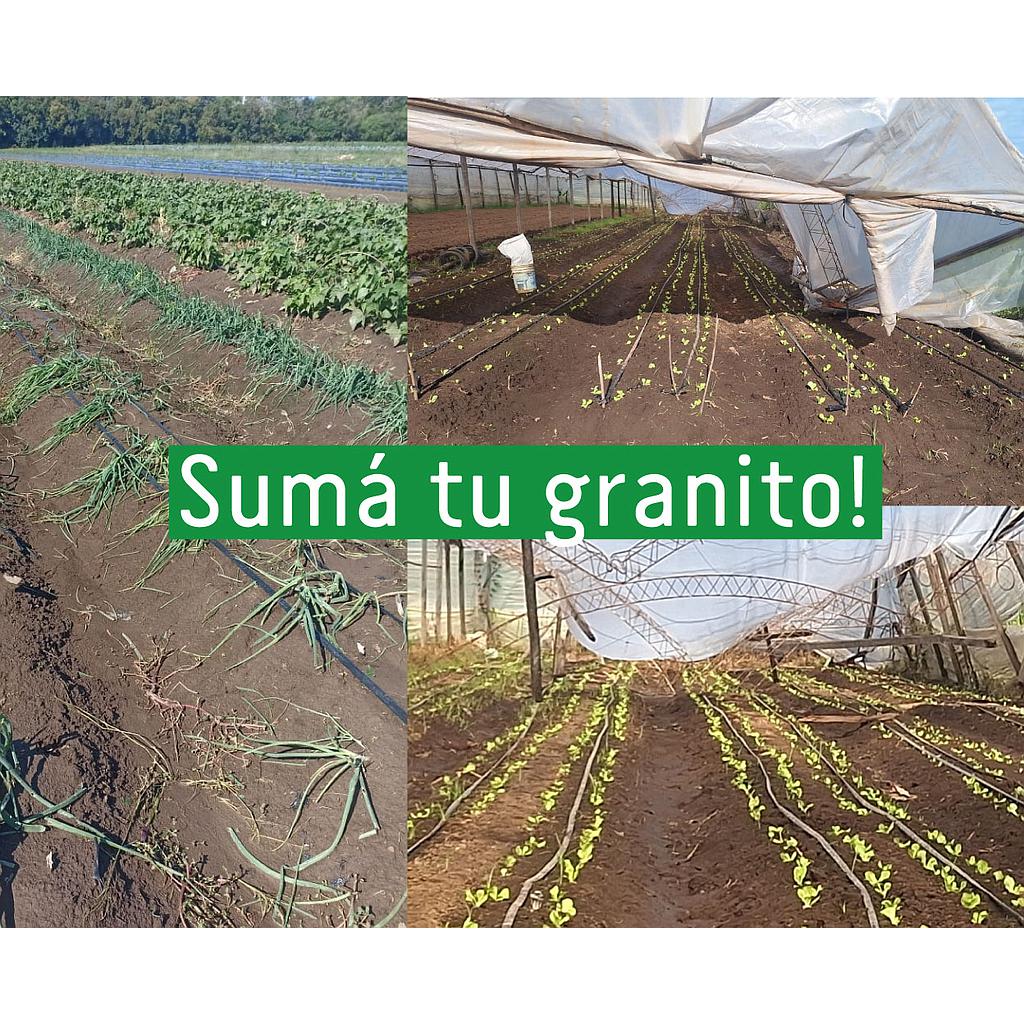 Bono Solidario "Brote": Reconstruyendo la Agroecología en Escobar $10.000