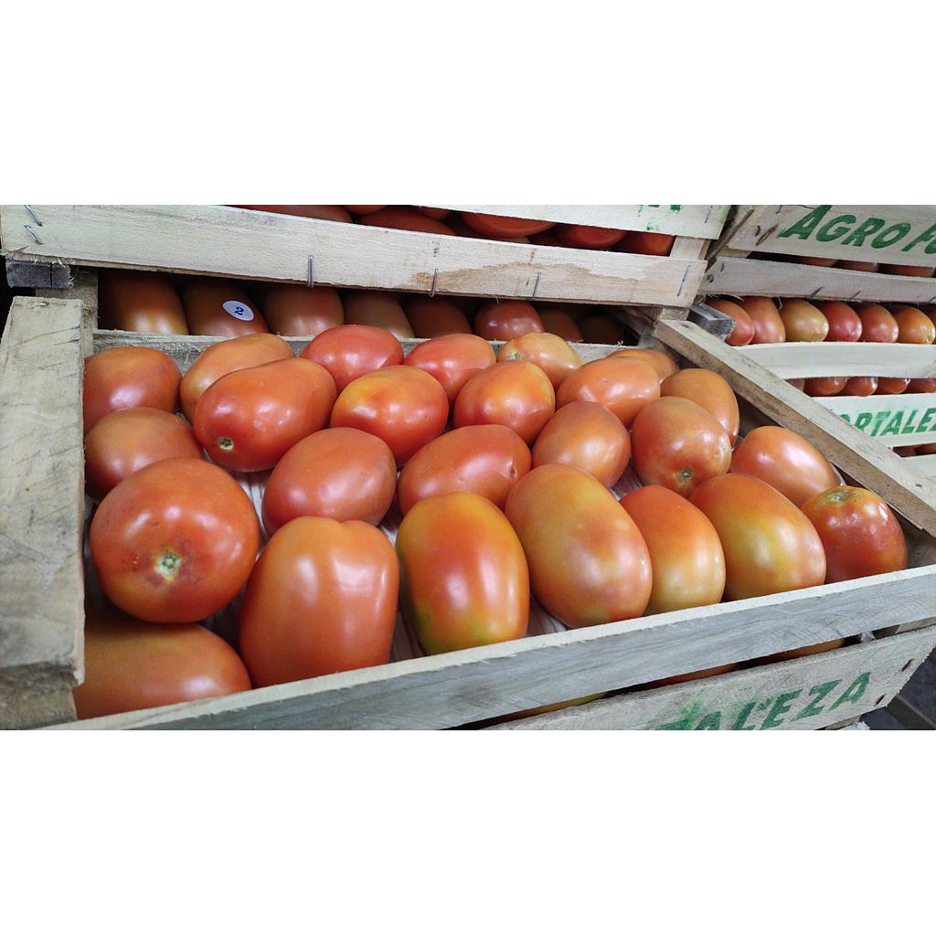 CAJON de Tomate agroecologico 16kg (bruto)