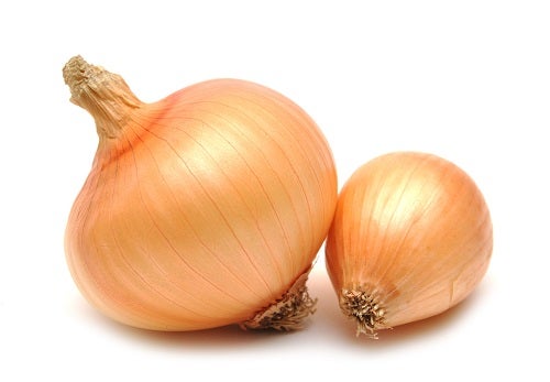 Cebolla Agroecologica 1K