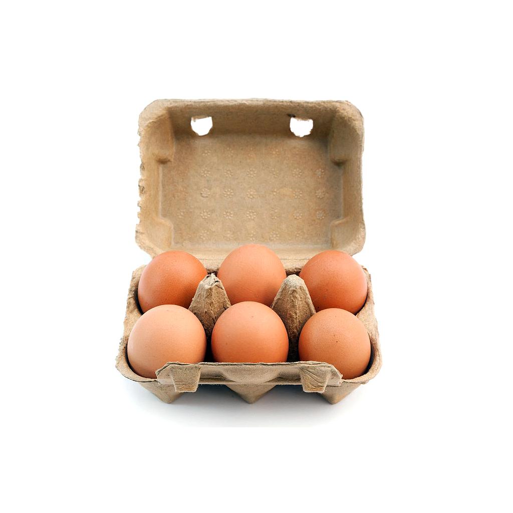 Huevos de Campo 6U