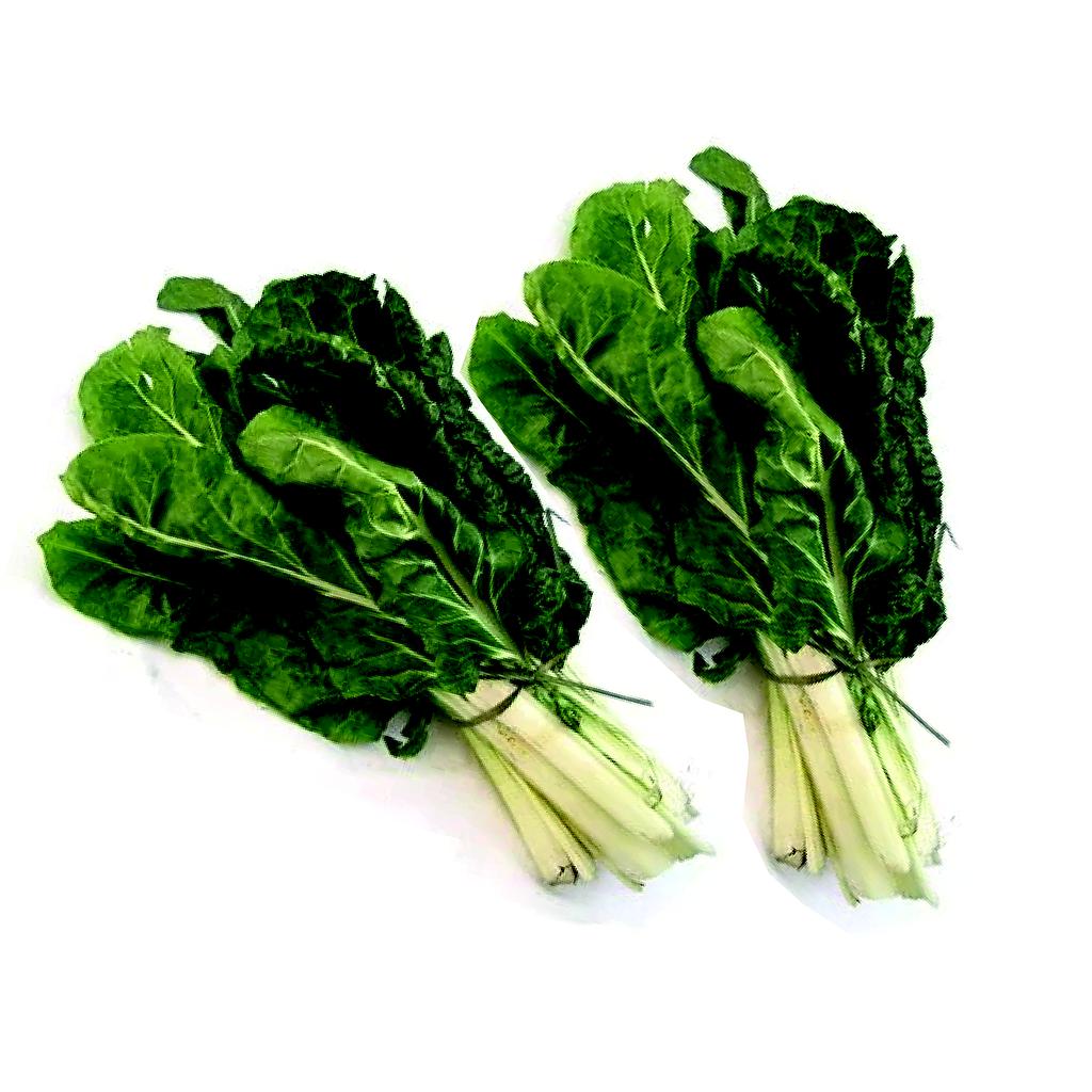 Acelga agroecologica por atado