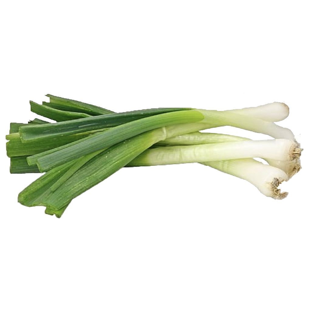 Puerro ATADO agroecologico x 500gr