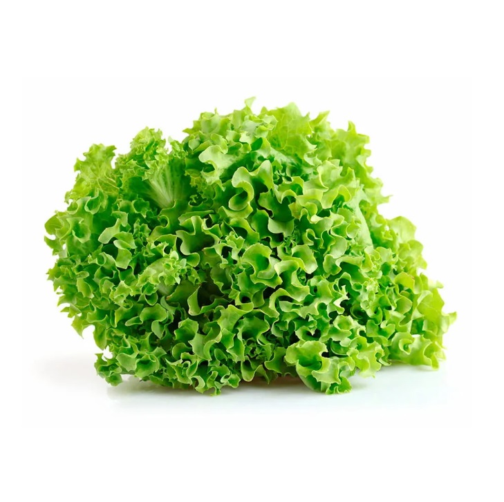 Lechuga Francesa-Crespa agroecologica - unidad aprox 200/300g