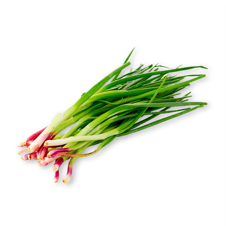 Cebolla de Verdeo agroecologica - unidad aprox 300g