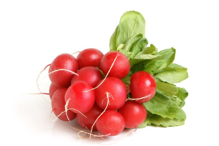Rabanitos agroecologicos atado