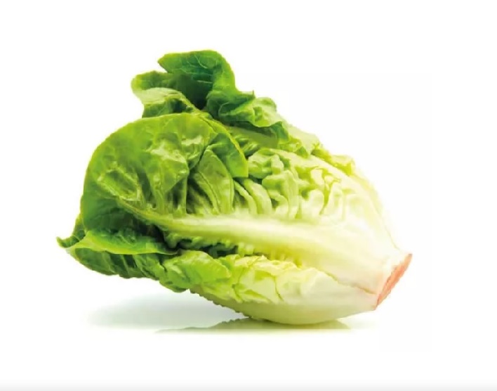 Lechuga Criolla agroecologica - unidad