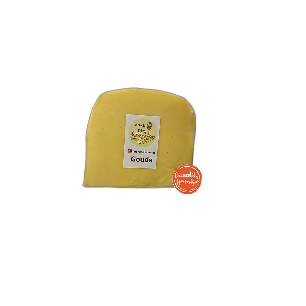 Queso Gouda fraccionado 290g aprox "Castelmar"