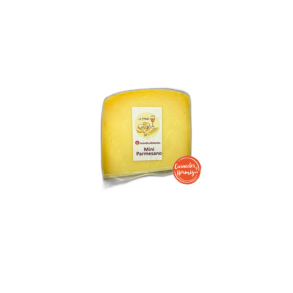 Queso Parmesano Fresco fraccionado 330g aprox "Castelmar"