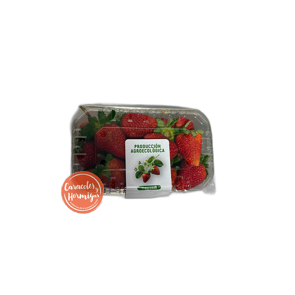 Frutillas Agroecologicas Bandeja 500g