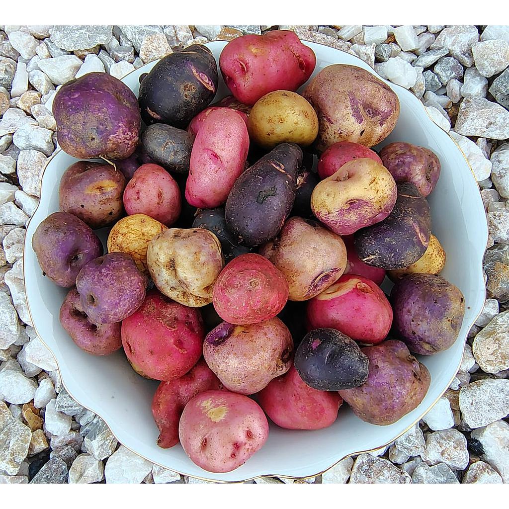 Mix Papines Andinos agroecologico 500G