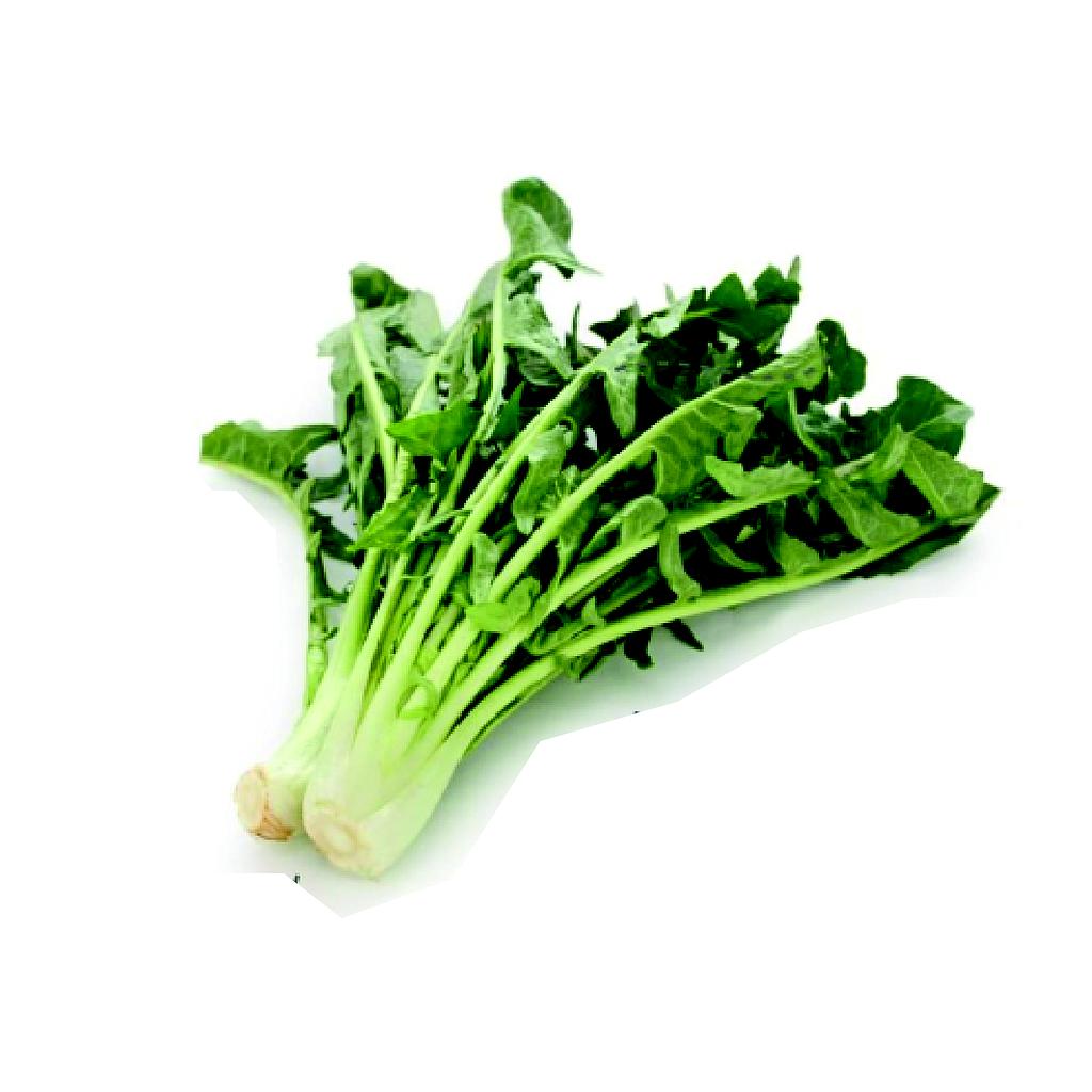 Achicoria agroecologica - unidad aprox 250g