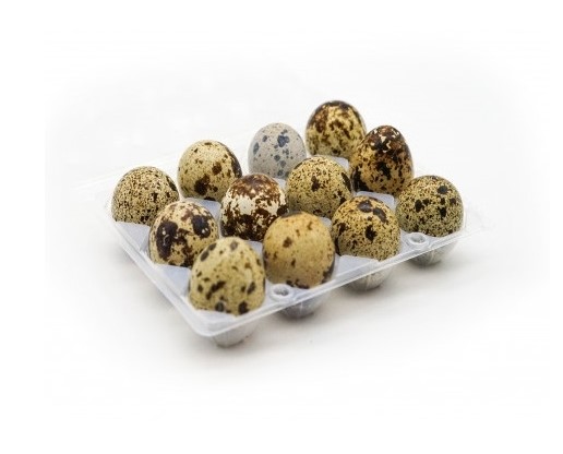 Huevos de Codorniz 12U