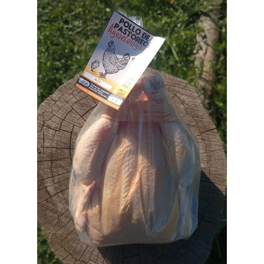 Pollo ENTERO de pastoreo agroecologico 2,2Kg aprox