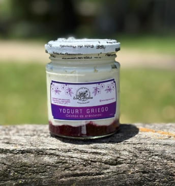 Yogur con colchón de fruta ARANDANOS 200ml "Los Cerezos"